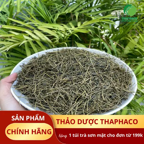 Địa chỉ bán sỉ giảo cổ lam tại TP.HCM