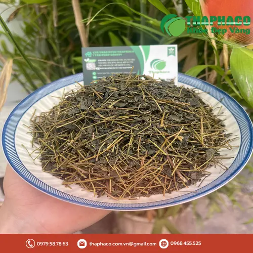 Hình ảnh lá giảo cổ lam tươi và khô