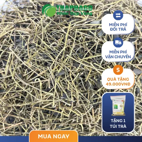 Hình ảnh lá giảo cổ lam sấy khô sạch sẽ, đạt chuẩn dược liệu