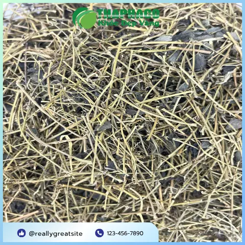 Giảo cổ lam phơi khô đóng gói sẵn