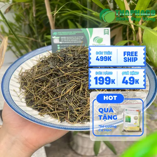 Hình ảnh nhân viên Dược Liệu Tấn Phát đang đóng gói giảo cổ lam cho khách sỉ