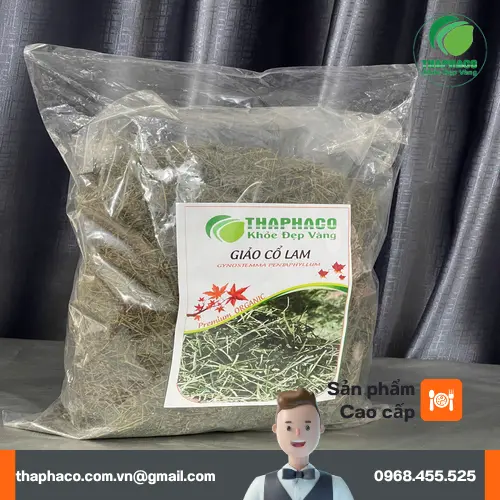 Túi giảo cổ lam khô Dược Liệu Tấn Phát