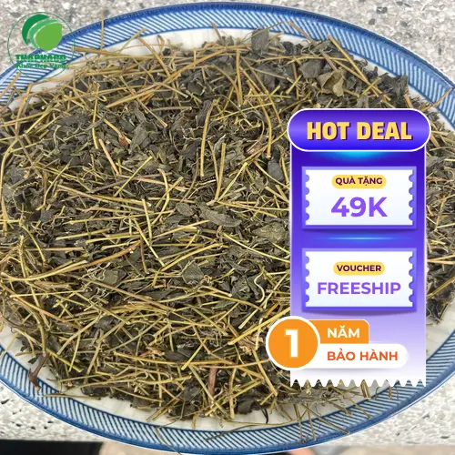 Hình ảnh sản phẩm giảo cổ lam khô đã được đóng gói cẩn thận của Dược Liệu Tấn Phát