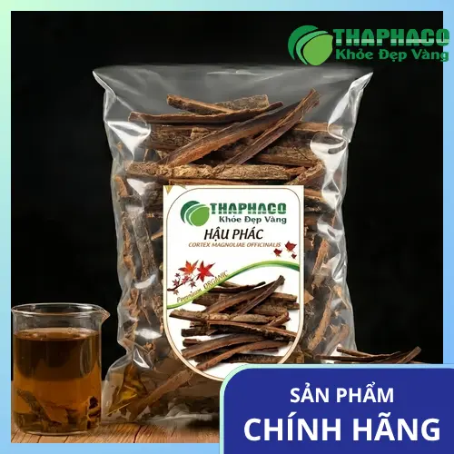 Hậu phác thật có màu sắc và hình dáng đặc trưng