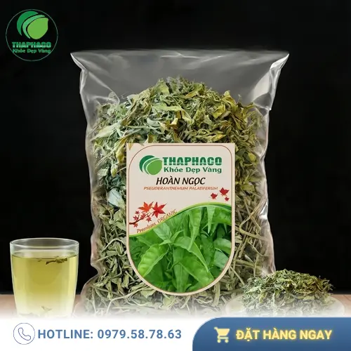 Cây Hoàn Ngọc tươi và khô - Dược liệu tiềm năng cho sức khỏe
