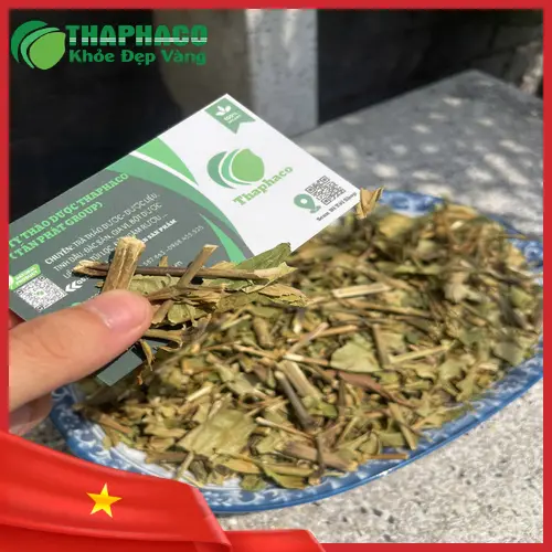 Trà Hoàn Ngọc khô Dược Liệu Tấn Phát chất lượng cao