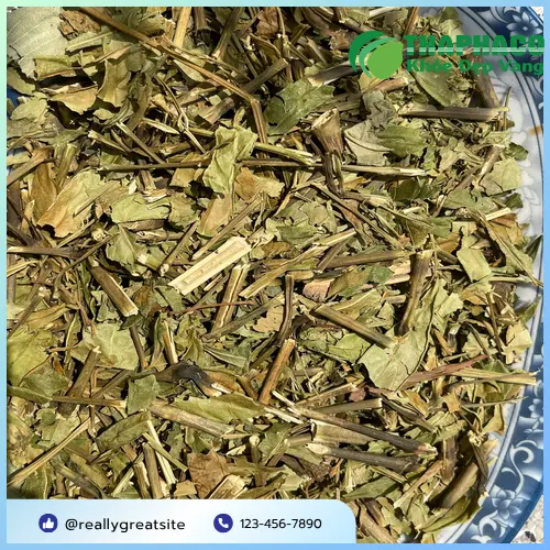 Hoàn Ngọc sấy khô được tuyển chọn kỹ lưỡng