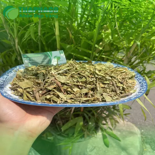 Trà hoàn ngọc sấy khô chất lượng cao từ Dược Liệu Tấn Phát