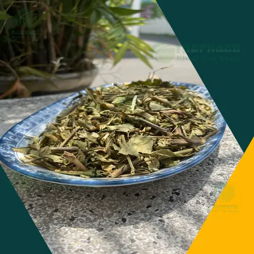 Hình ảnh quy trình sấy khô hoàn ngọc hiện đại, giữ trọn dược chất