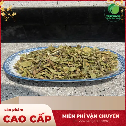 Địa chỉ mua Hoàn Ngọc khô chất lượng tại HCM