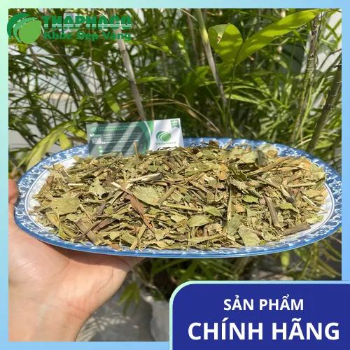 Pha trà Hoàn Ngọc khô thanh nhiệt, tốt cho sức khỏe