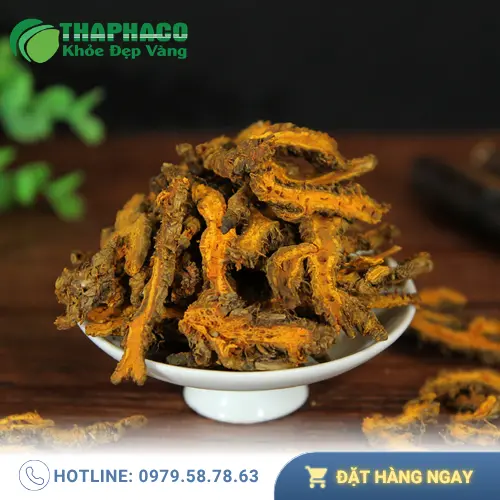 Hình ảnh 1kg Hoàng Liên sấy khô cao cấp tại Dược Liệu Tấn Phát