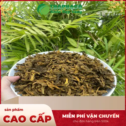 Hoàng liên đã được cắt lát và sấy khô, có mùi thơm thảo mộc
