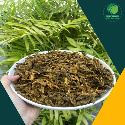 Hướng dẫn sử dụng và lưu ý khi dùng Hoàng Liên sấy khô