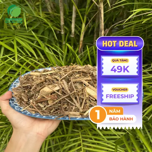 Hình ảnh cây hương nhu tươi và khô
