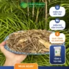 Giá Sỉ Hương Nhu Khô THAPHACO: Chất Lượng Cao, Ưu Đãi Hấp Dẫn