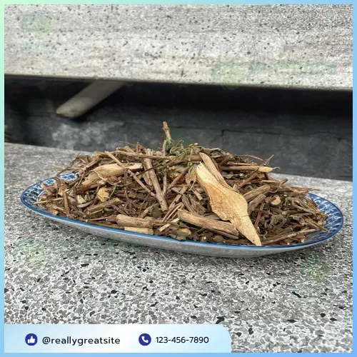 Hương nhu khô cao cấp từ Dược Liệu Tấn Phát