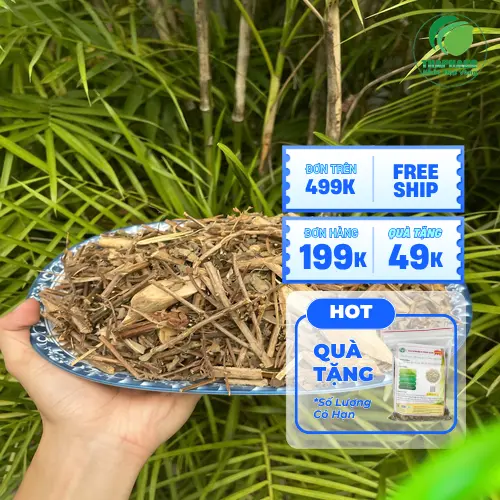 Ưu đãi hương nhu khô giá tốt tại Dược Liệu Tấn Phát