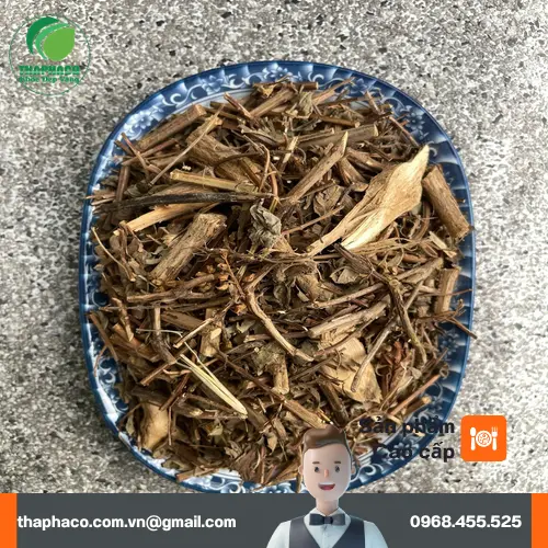 Quy trình sấy khô hương nhu tại THAPHACO