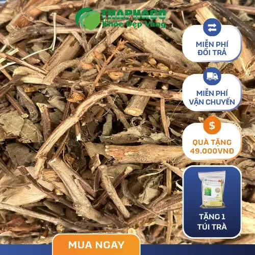 Quy trình kiểm định chất lượng hương nhu tại Dược Liệu Tấn Phát