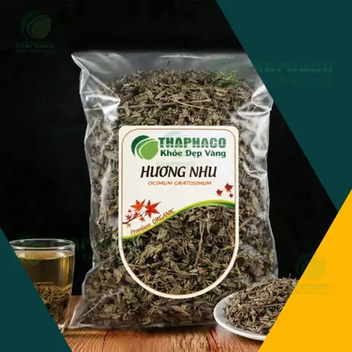 Liên hệ Dược Liệu Tấn Phát để mua hương nhu khô