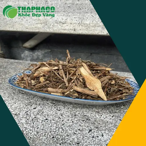 Kho bãi hương nhu khô đạt chuẩn của THAPHACO