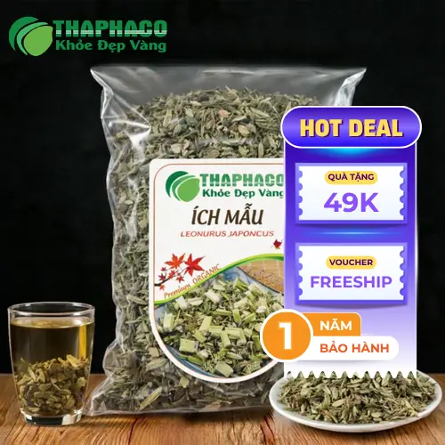 Hình ảnh cây ích mẫu sấy khô chất lượng cao từ Dược Liệu Tấn Phát