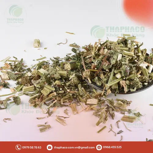 Lợi ích sức khỏe từ trà ích mẫu sấy khô hữu cơ