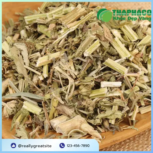 Cách pha trà ích mẫu sấy khô đúng chuẩn để có hiệu quả tốt nhất