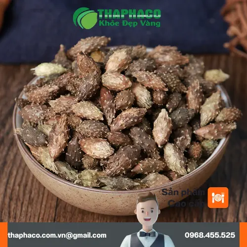Hình ảnh cây ké đầu ngựa tươi và quả ké đầu ngựa