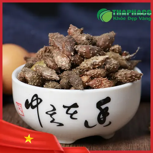 Ké đầu ngựa đã sao vàng để dùng làm thuốc