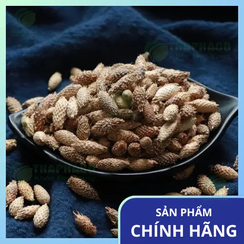 Ké đầu ngựa là thảo mộc khô quý hiếm