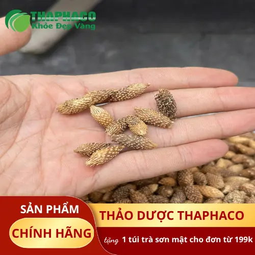 Sản phẩm ké đầu ngựa khô đóng gói tại THAPHACO