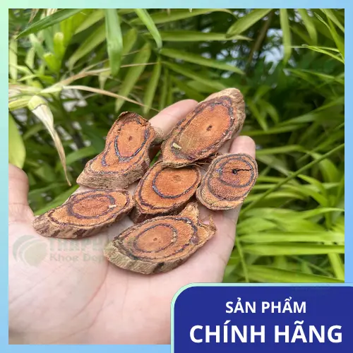 Hình ảnh Kê Huyết Đằng sấy khô đóng gói theo tiêu chuẩn cao cấp