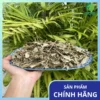 Khổ Sâm Mua Ở Đâu Giá Rẻ, Uy Tín? Chuyên Gia Dược Liệu Tấn Phát