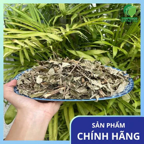 Khổ Sâm Mua Ở Đâu Giá Rẻ, Uy Tín? Chuyên Gia Dược Liệu Tấn Phát