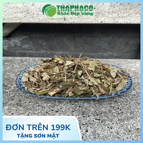 Giá sỉ tận gốc Khổ Sâm nguyên chất - Thảo Dược Tấn Phát