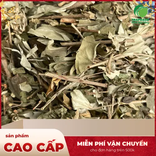 Khổ Sâm khô cao cấp từ Dược Liệu Tấn Phát