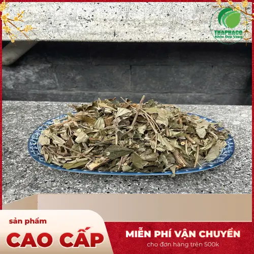 Hình ảnh rễ khổ sâm khô