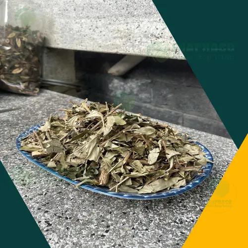 Khổ Sâm khô cao cấp chuẩn hữu cơ