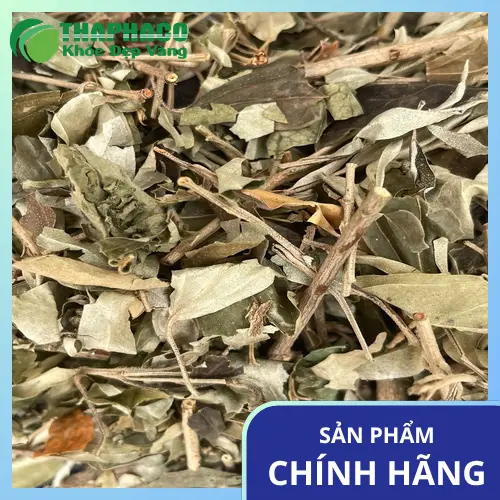 Trà khổ sâm đã pha, sẵn sàng sử dụng