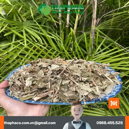 Sản phẩm Khổ Sâm đã đóng gói của Dược Liệu Tấn Phát