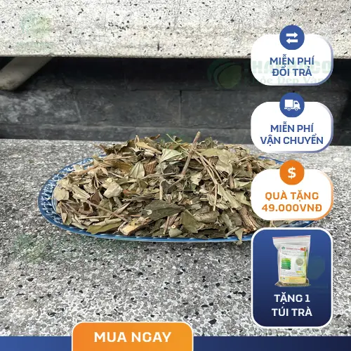 Sản phẩm khổ sâm đã đóng gói cẩn thận của Dược Liệu Tấn Phát