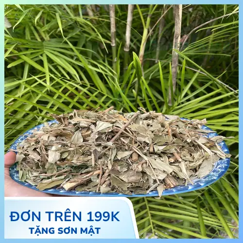 Khổ sâm đóng gói tại Dược Liệu Tấn Phát