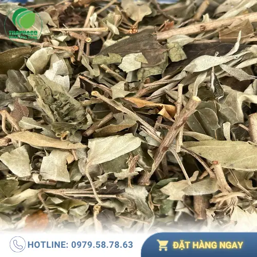 Khổ Sâm được đóng gói kỹ lưỡng, đảm bảo vệ sinh an toàn thực phẩm