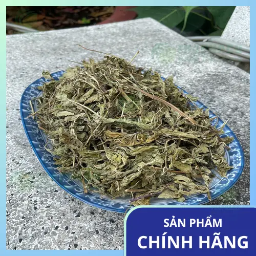 Lá bạc hà tươi xanh của Dược Liệu Tấn Phát, sẵn sàng cho quá trình kiểm định chất lượng