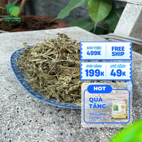 Hình ảnh lá bạc hà tươi và khô Dược Liệu Tấn Phát