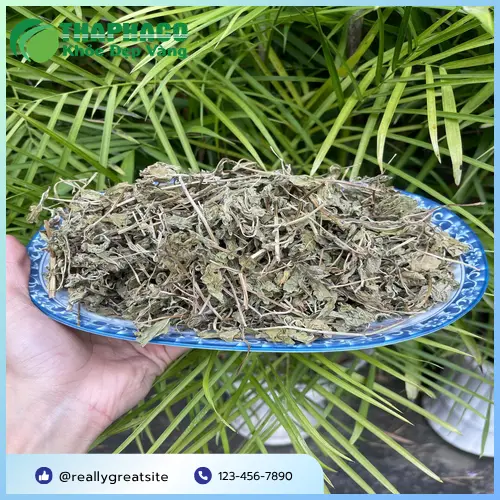 Lá bạc hà khô chất lượng cao từ Dược Liệu Tấn Phát