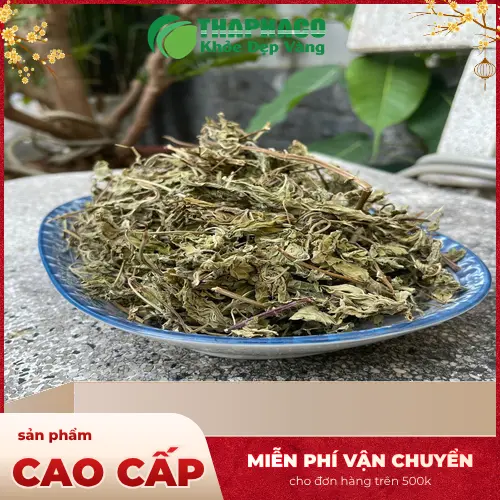 Mua Lá Bạc Hà Khô Chất Lượng Cao Ở Đâu TP.HCM?