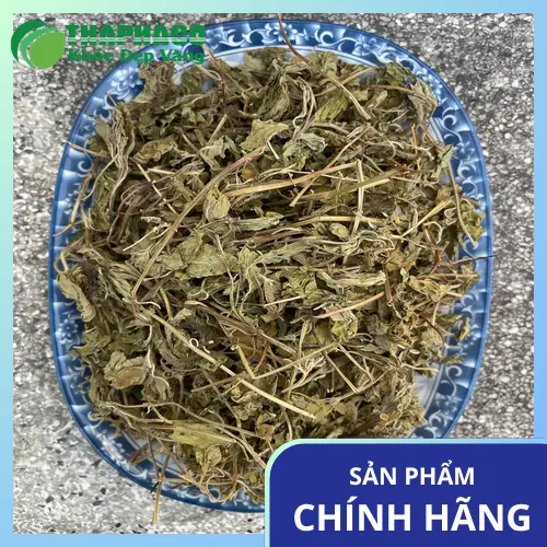 Quy trình sấy khô lá bạc hà Tấn Phát giữ nguyên dược tính
